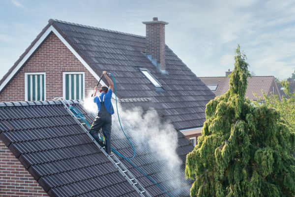 Saint Paul Roof Cleaning