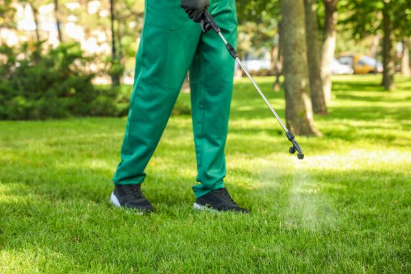 Saint Paul Lawn Treatment