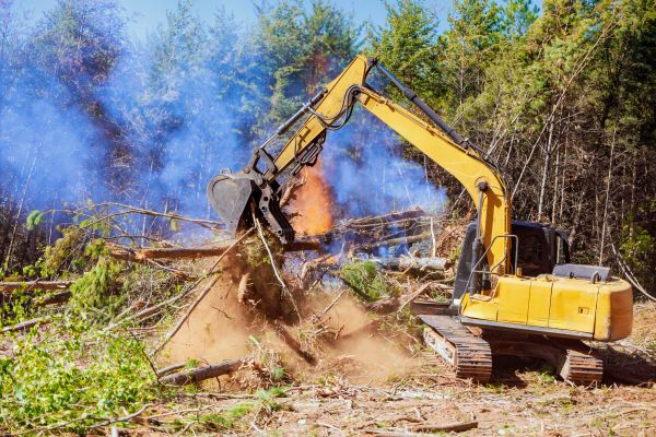 Saint Paul Land Clearing