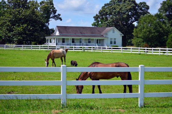 Saint Paul Fence Service